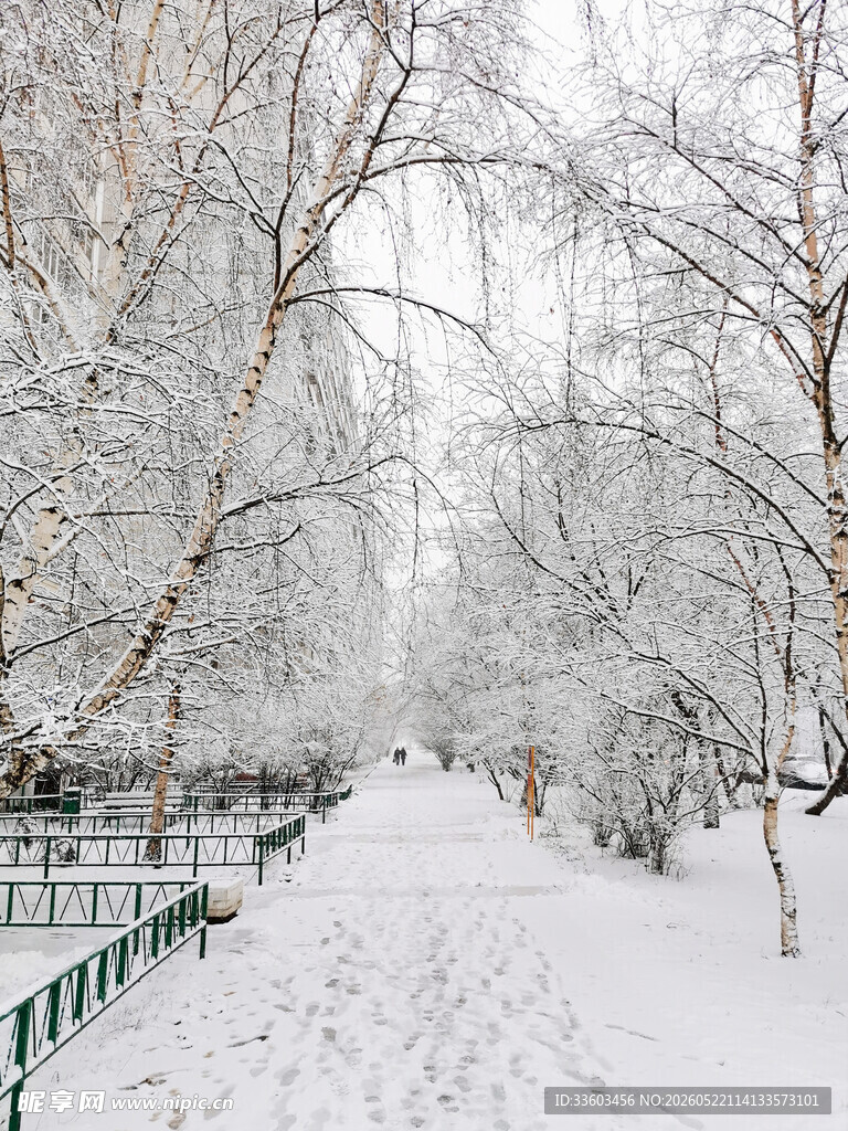 雪后林间小道美景