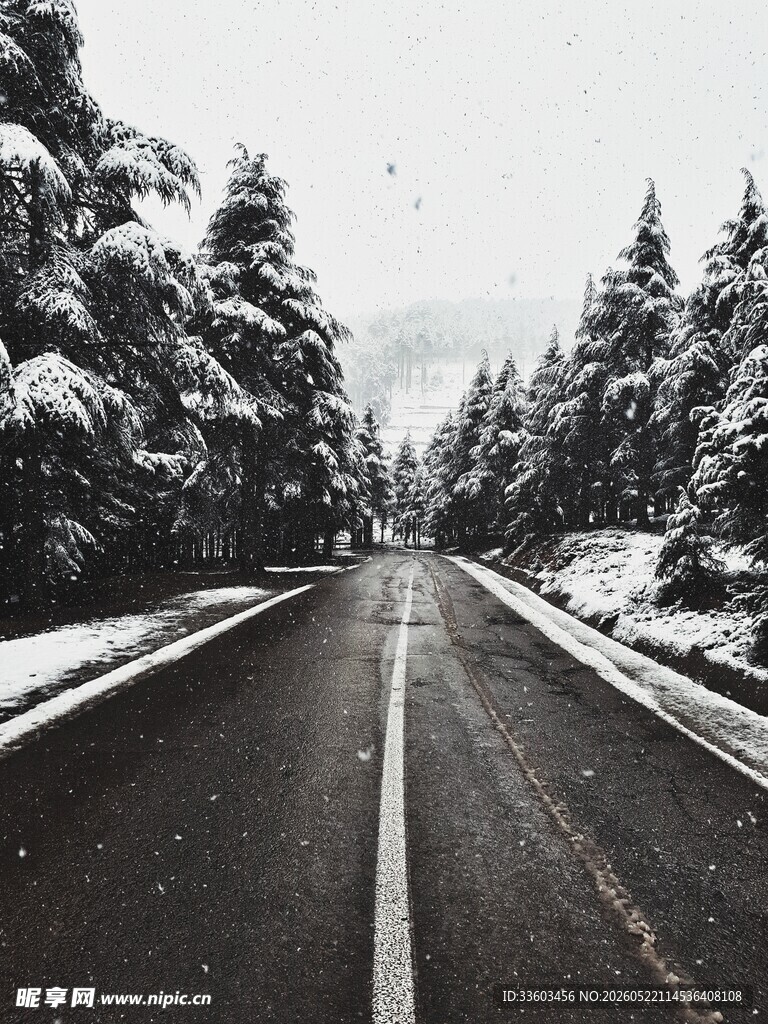冬日雪覆公路静谧美景