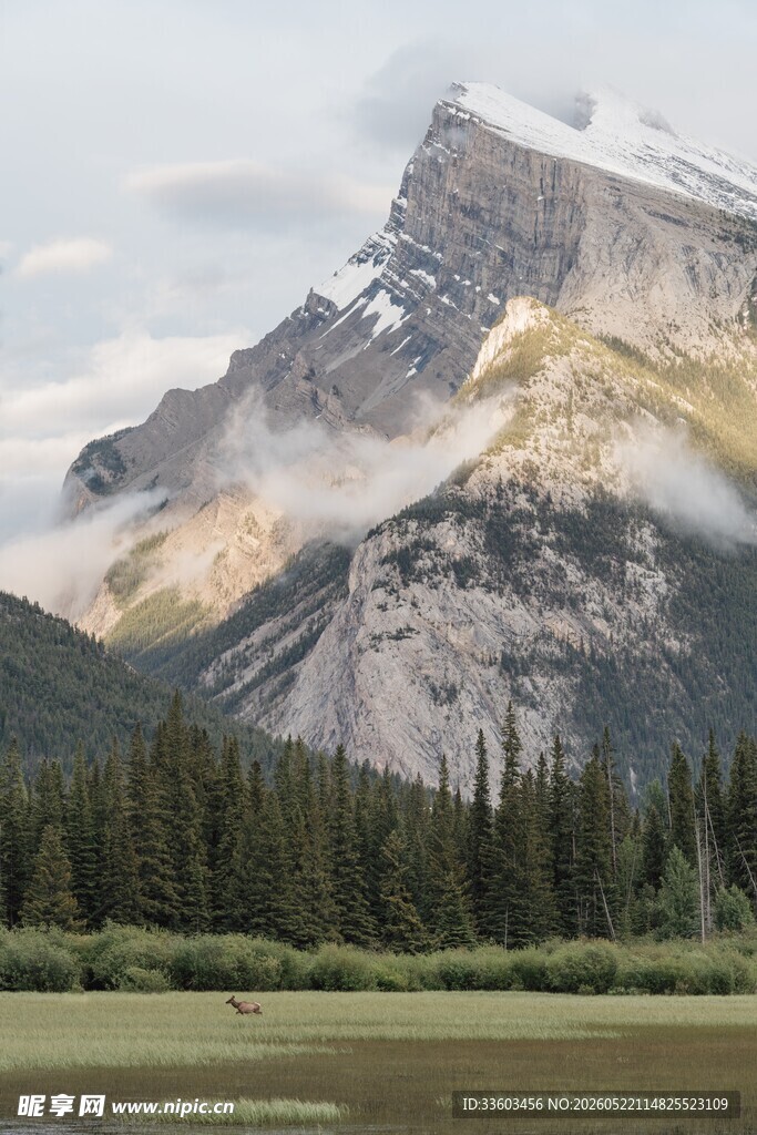 壮丽雪山下的森林湖泊景观
