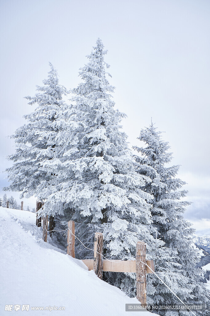 雪覆山林的冬日美景