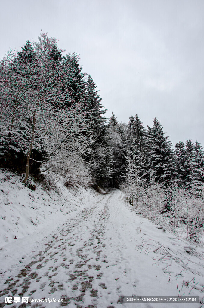 冬日雪覆山路景