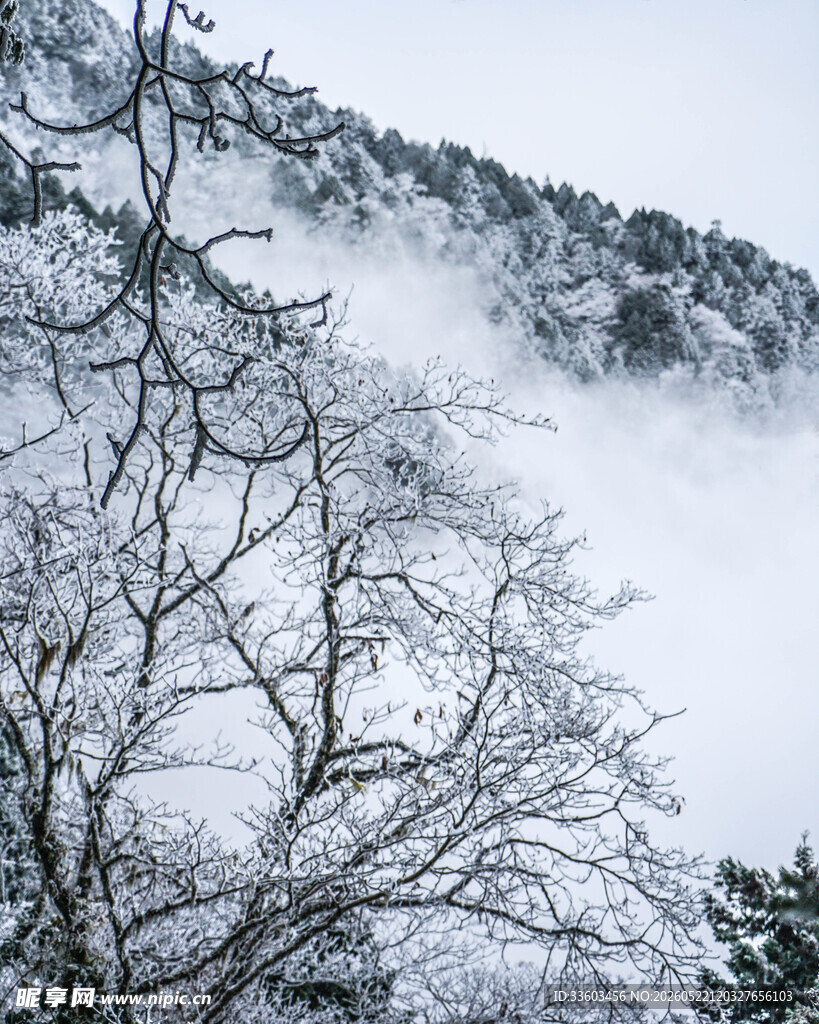 雪覆山林雾霭中的冬日景致