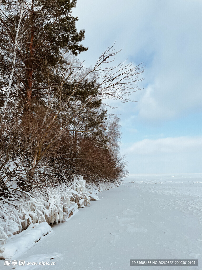 冬日雪覆岸边的宁静风景
