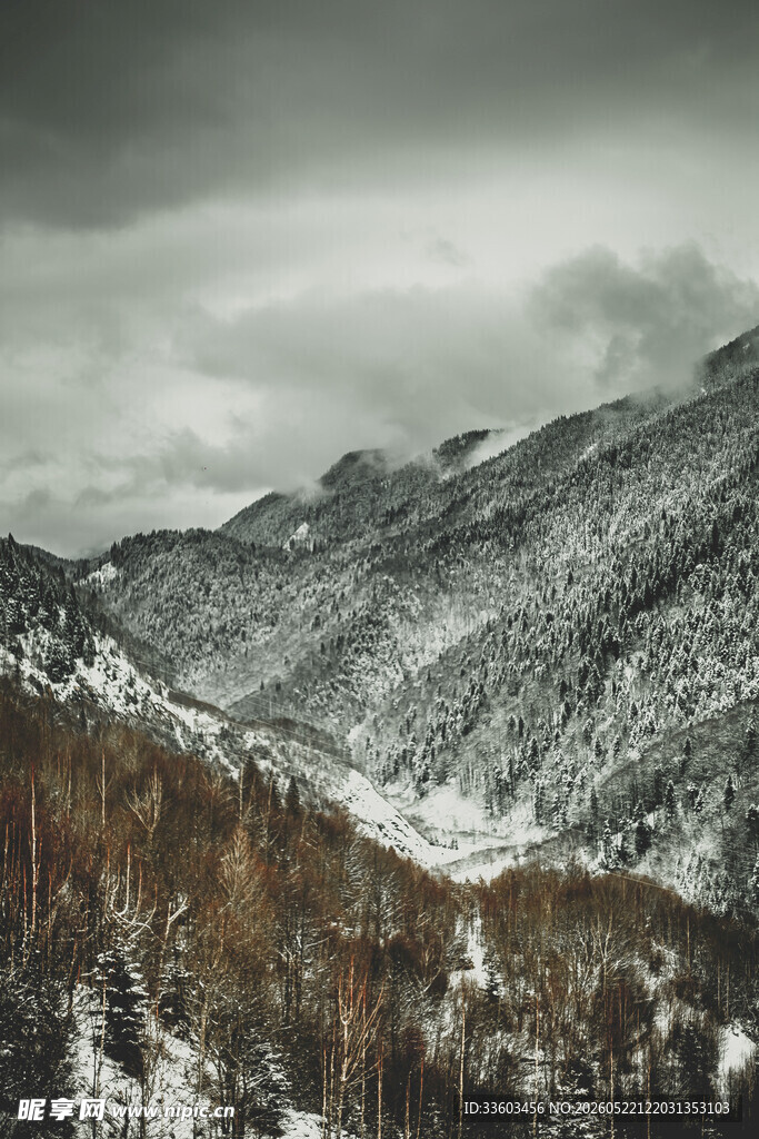 雪覆山峦间的秋景