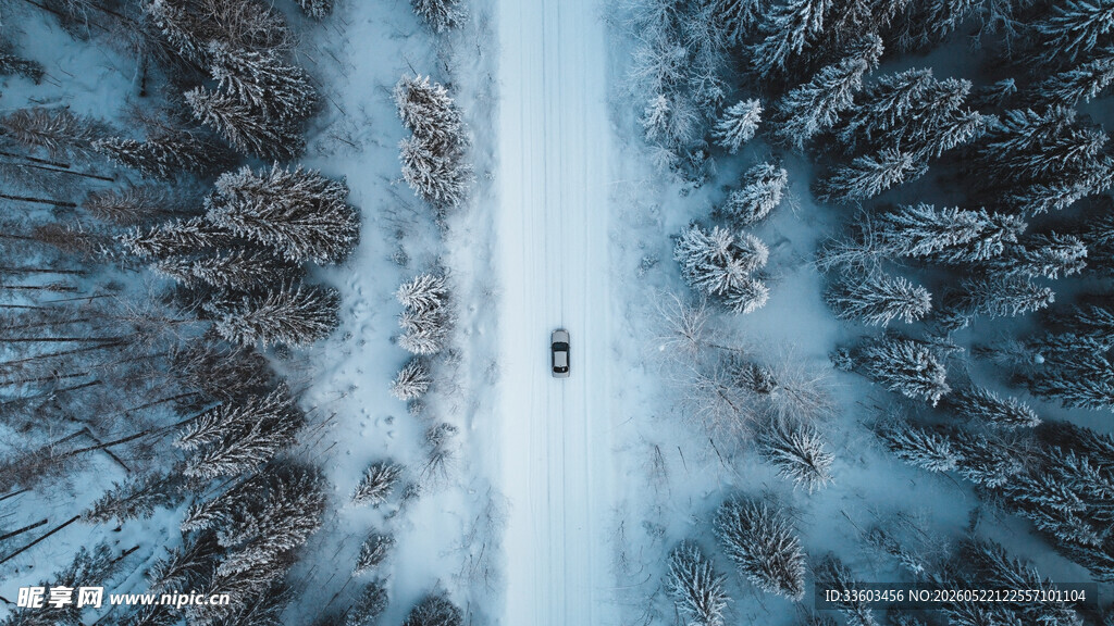 冬日森林中的宁静雪道