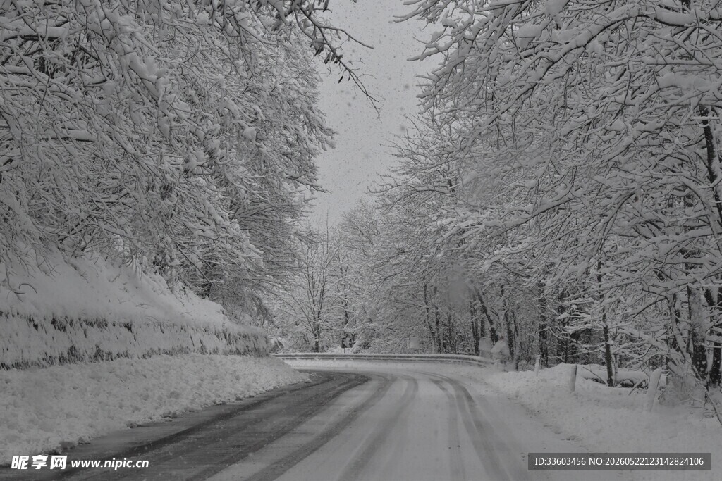 冬日雪覆道路的静谧景象