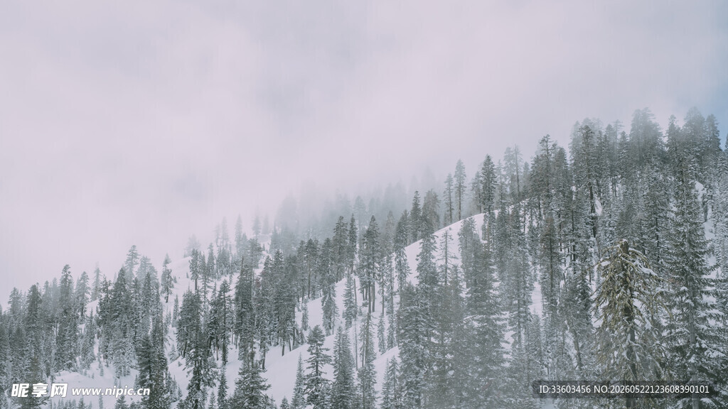 雪覆山林的静谧冬日景象