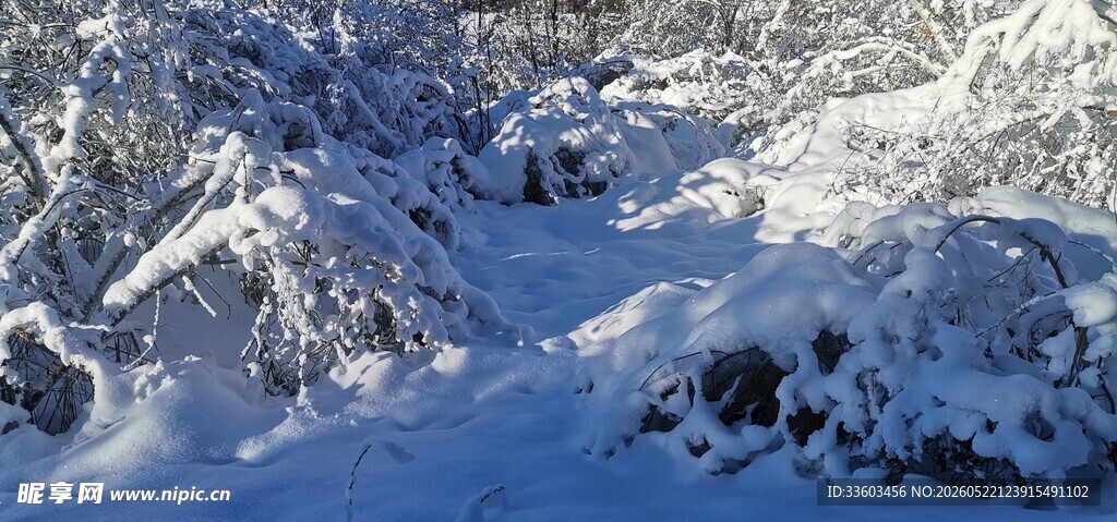 雪覆山林美景