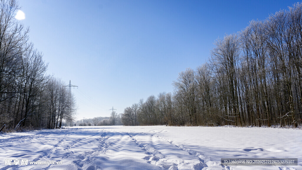 冬日雪野林间美景