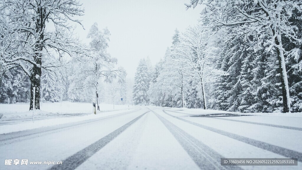 冬日雪景中的静谧公路