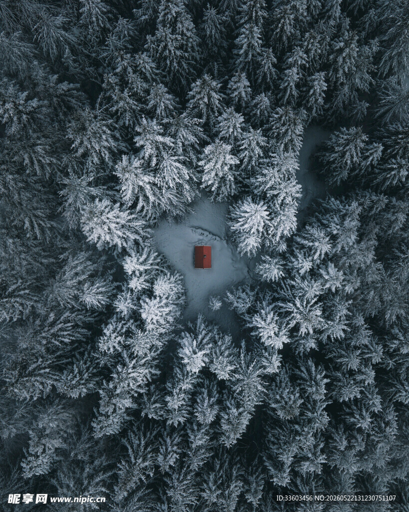 俯瞰雪覆森林中的空地