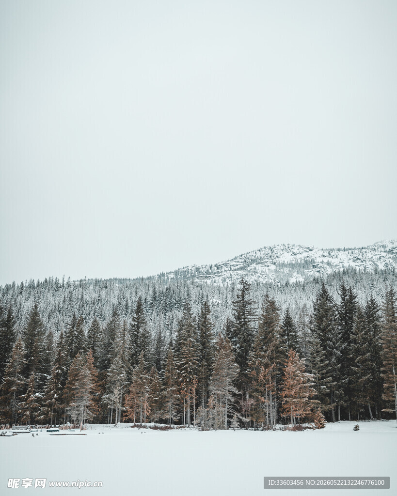 雪覆山林冬日美景