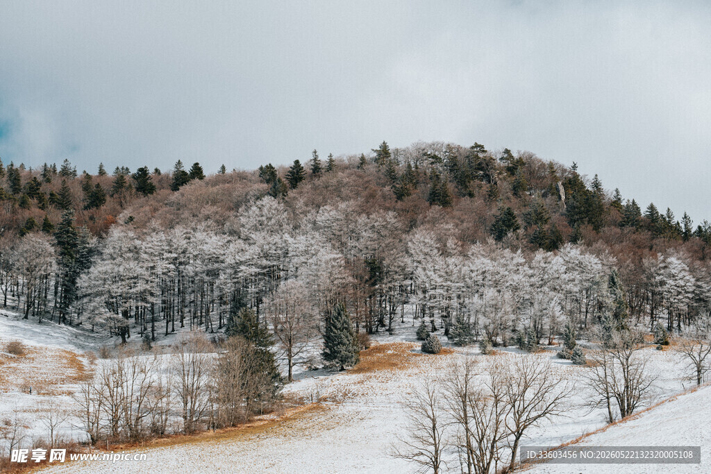 雪覆山林冬日美景
