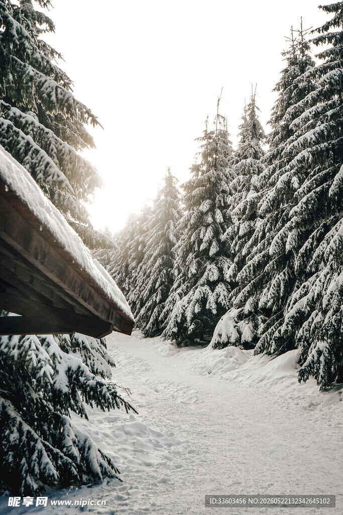 冬日雪林小屋美景