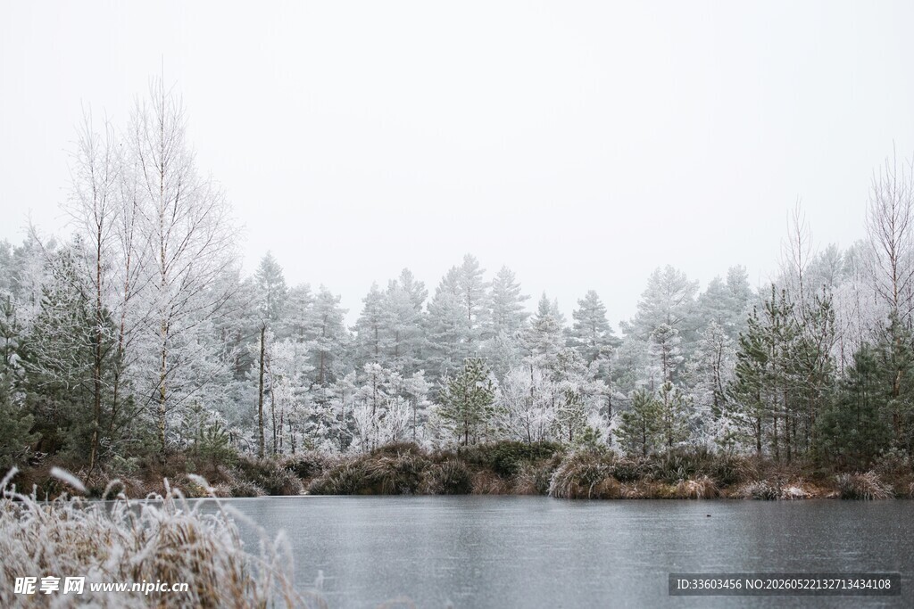 冬日雪覆湖畔静谧景致
