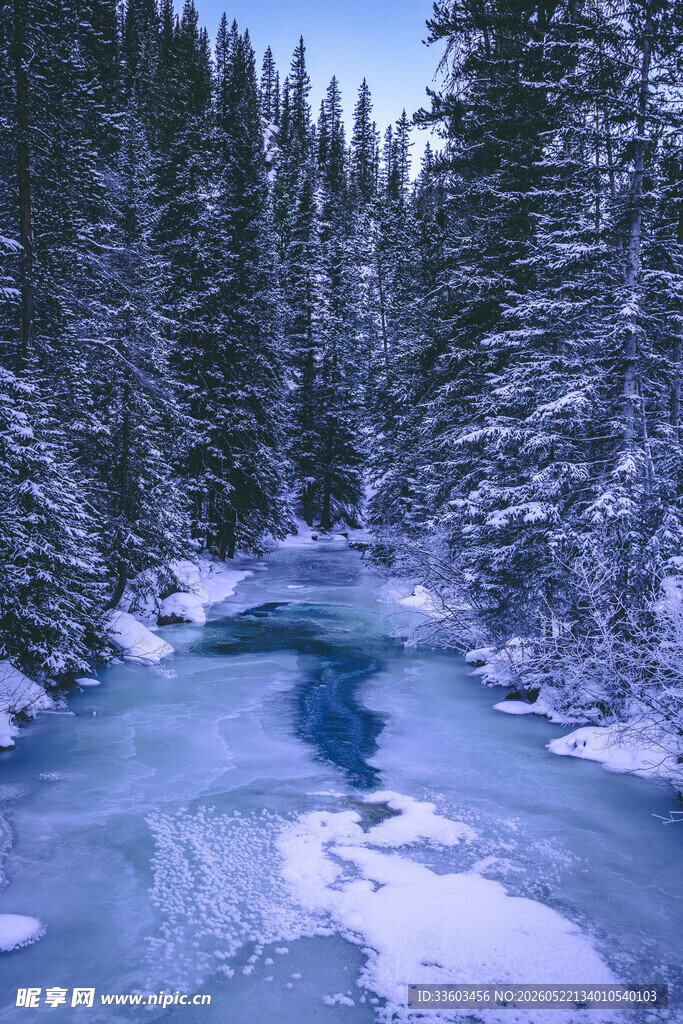 冬日雪覆溪流森林美景