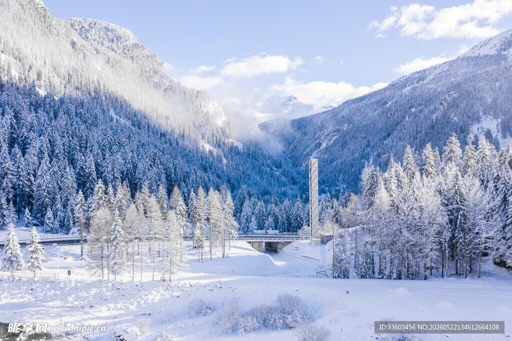 冬日雪山松林美景