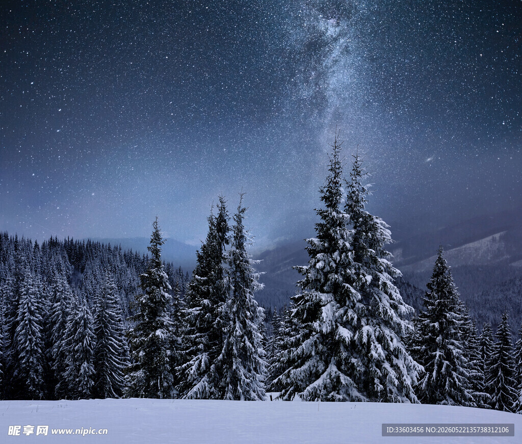 雪夜松林上的璀璨星空