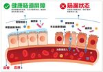 肠道健康