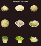 绿豆芽素材