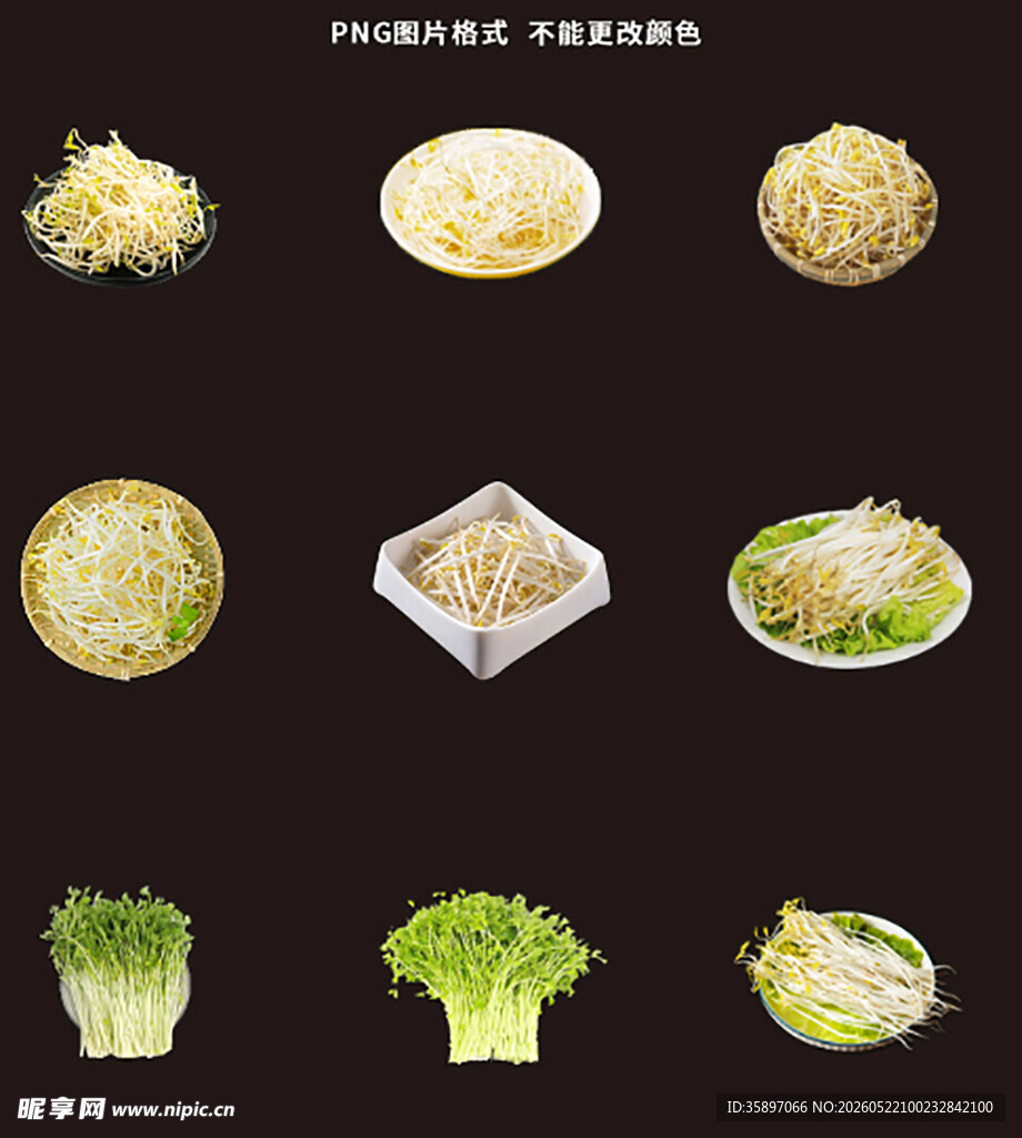 绿豆芽素材