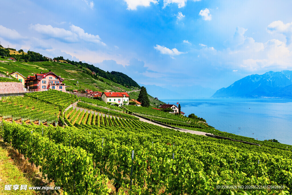 田园风光中的葡萄酒庄美景