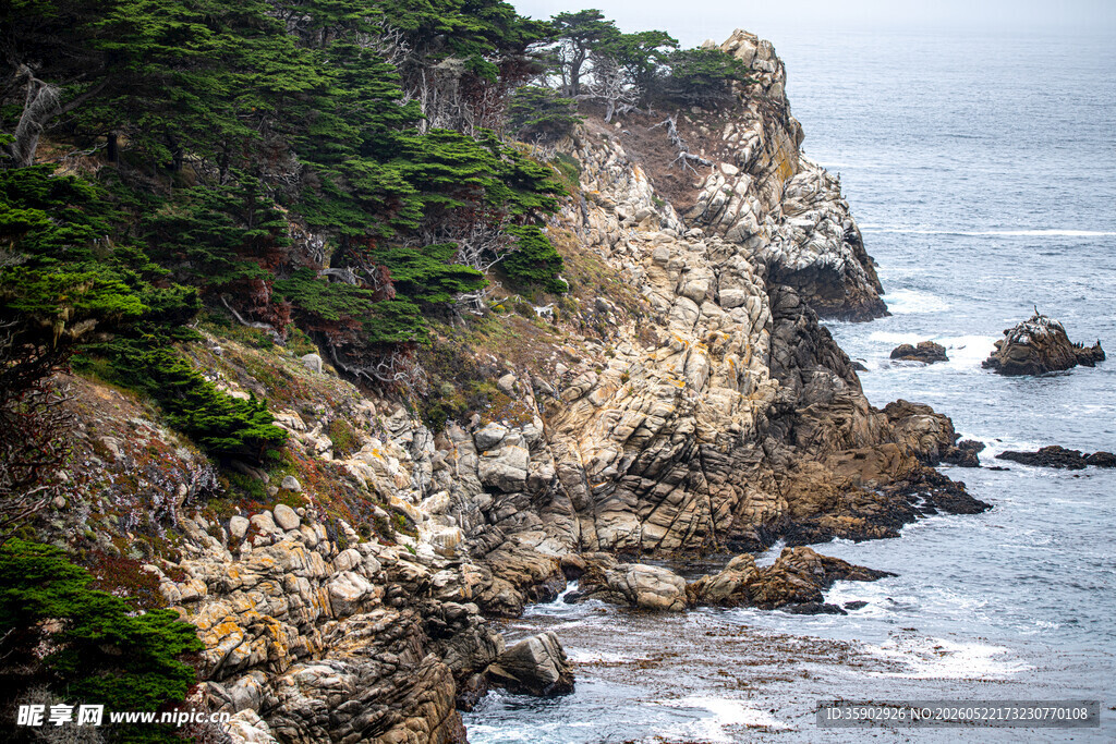 海岸边的嶙峋岩石与绿植