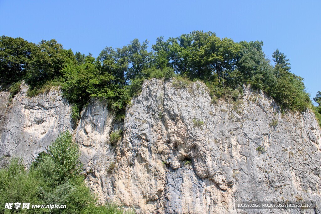陡峭岩壁上的葱郁绿意