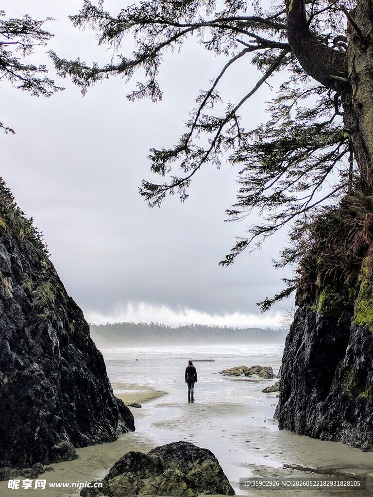 海岸边独行者的静谧时刻