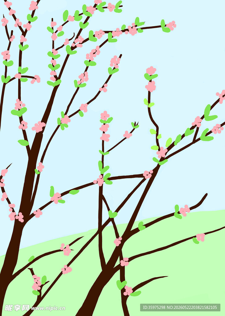 春日樱花枝景