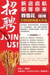 新店招聘