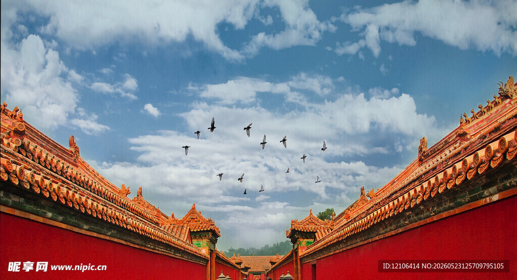 故宫红墙蓝天飞鸟之景