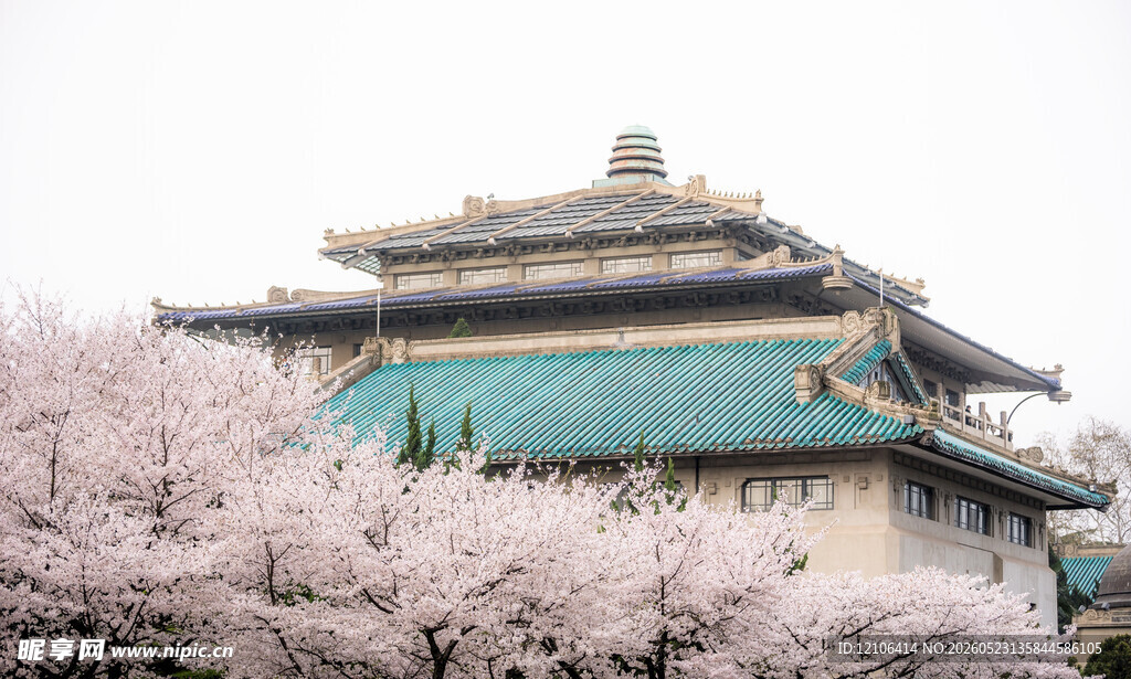 樱花簇拥下的古老建筑
