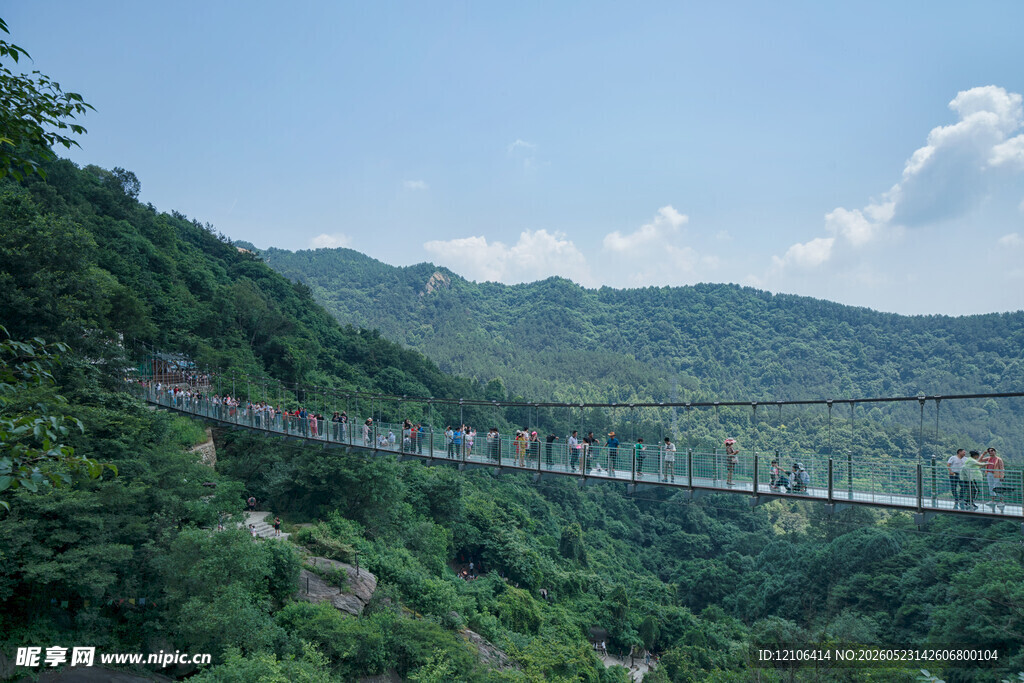 山间悬索桥绿意环绕美景