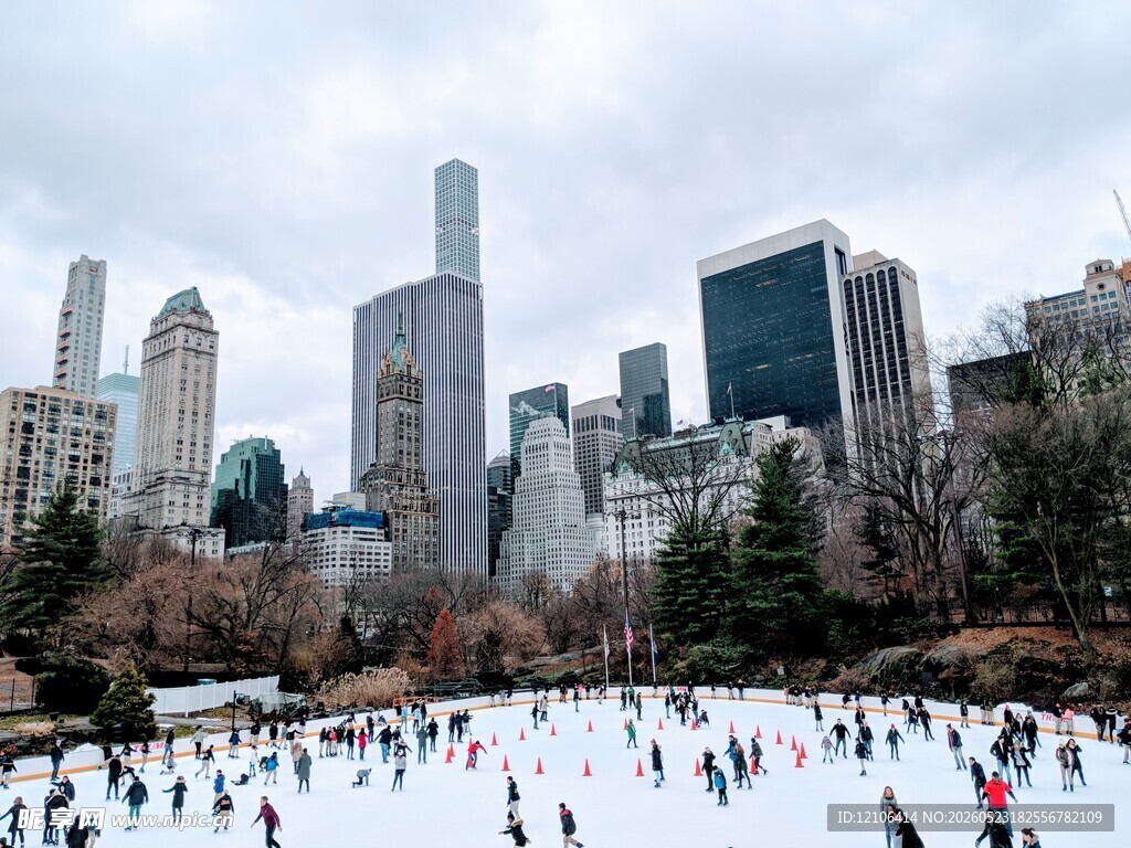 纽约公园雪地中的热闹场景