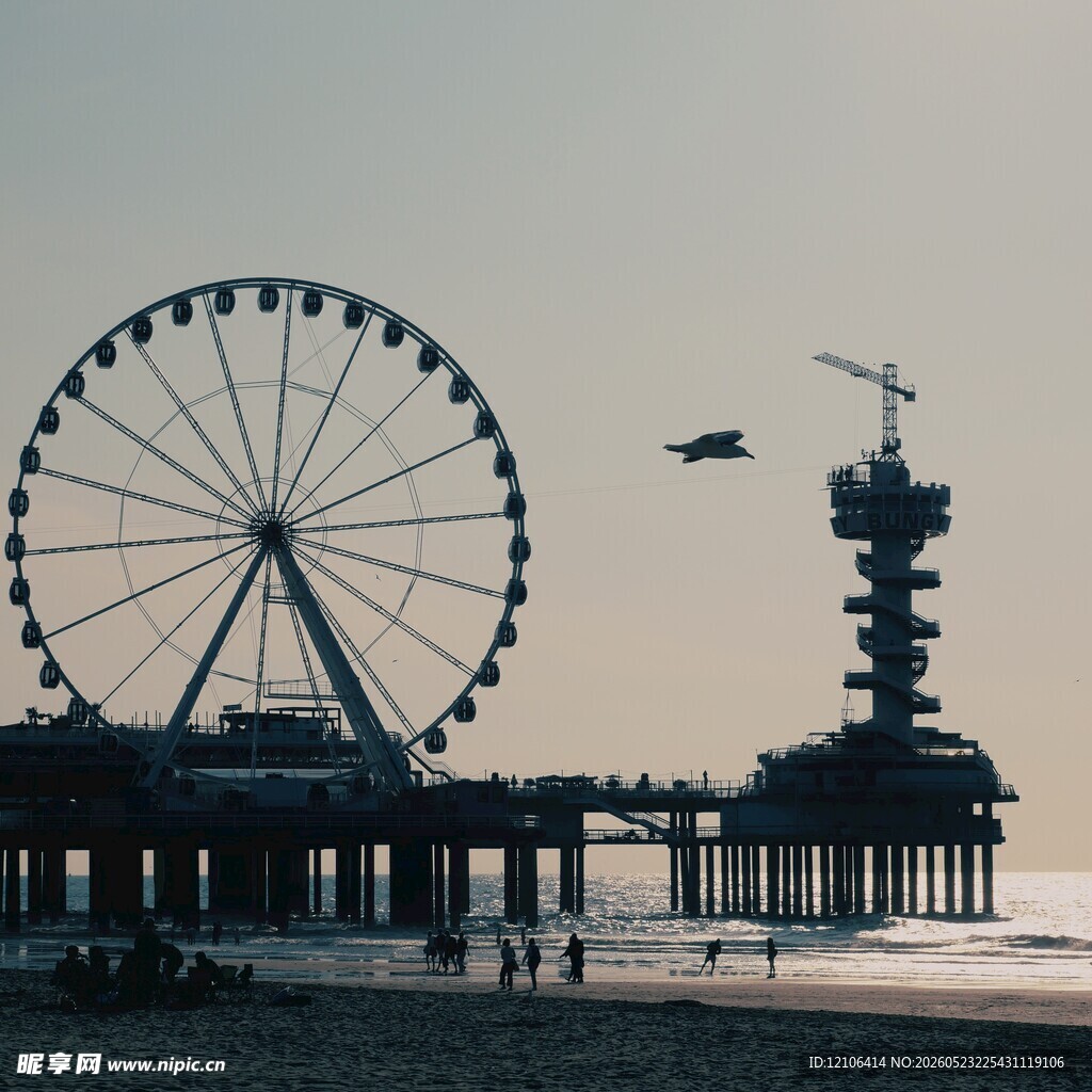 海滨摩天轮与塔吊景观