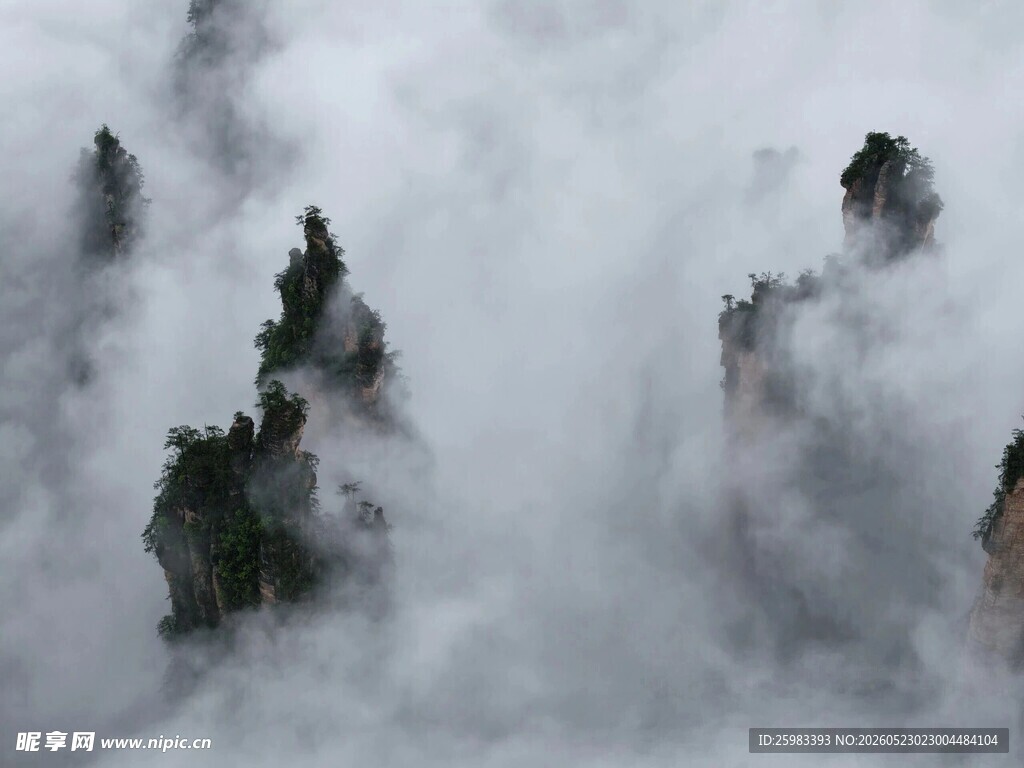 山峦云海