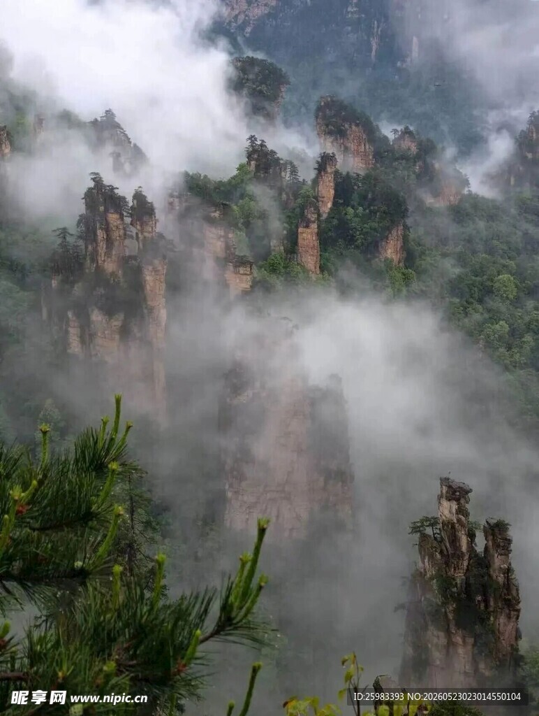 山峦云海
