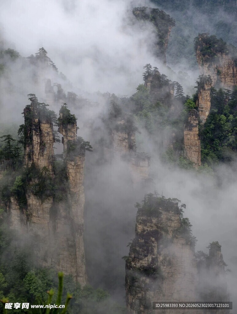 山峦云海