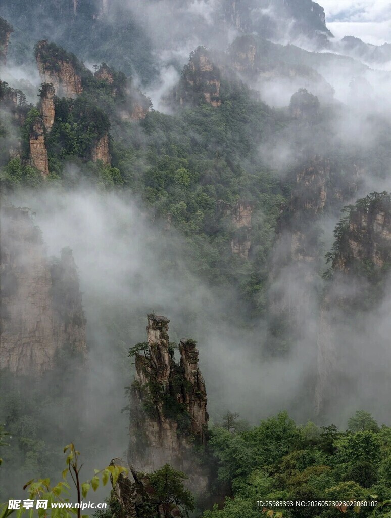 山峦云海