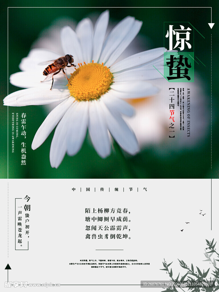 惊蛰海报 