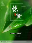 惊蛰海报