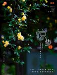 惊蛰海报