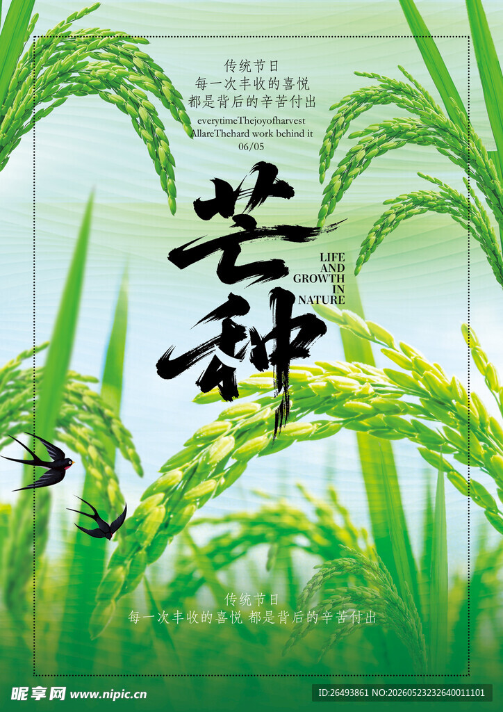 芒种海报