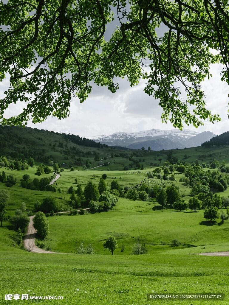 绿野山间景悠然入画来