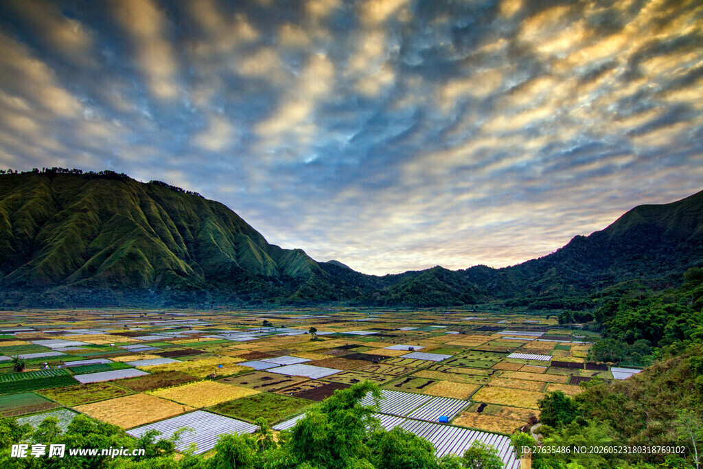 山间田园美景