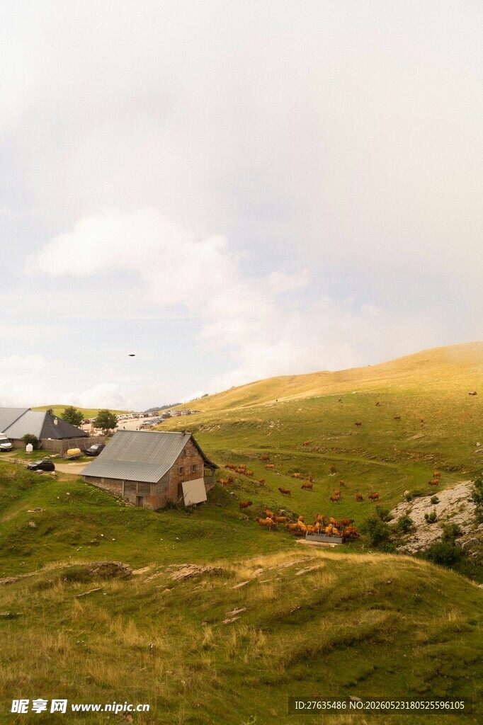 山间小屋邂逅田园风光