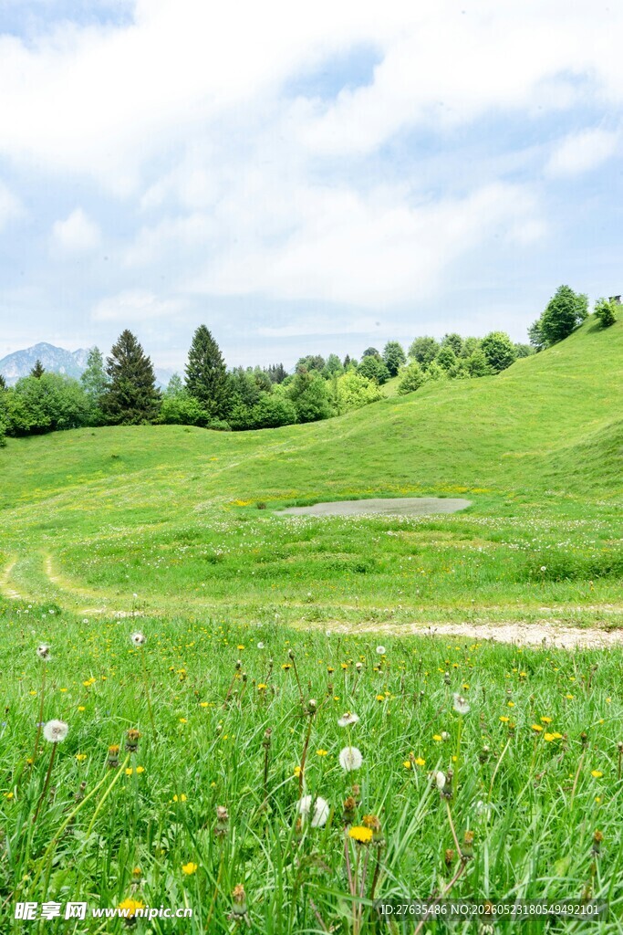 绿野繁花山间悠然景致