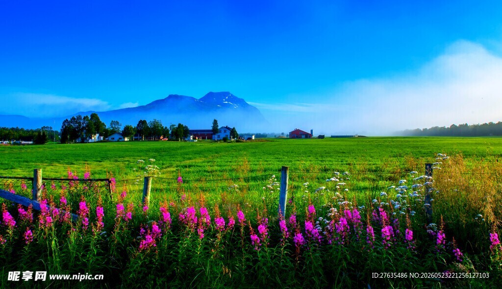 草原花海美景