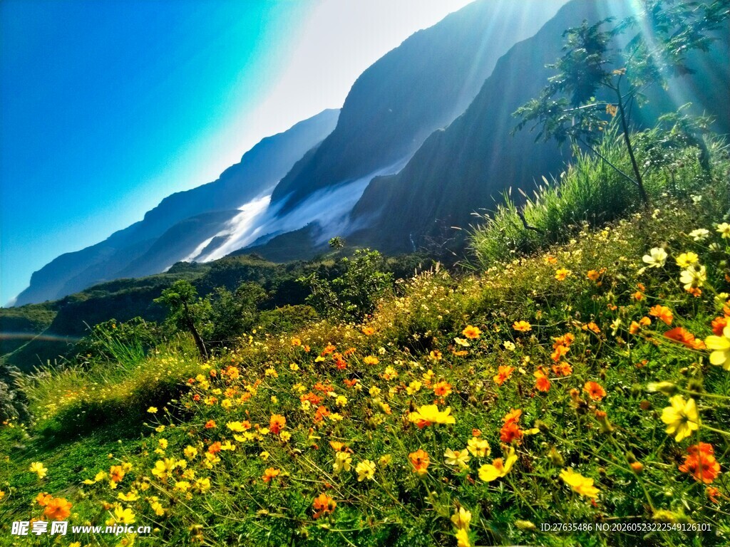 山间花海阳光照耀美景
